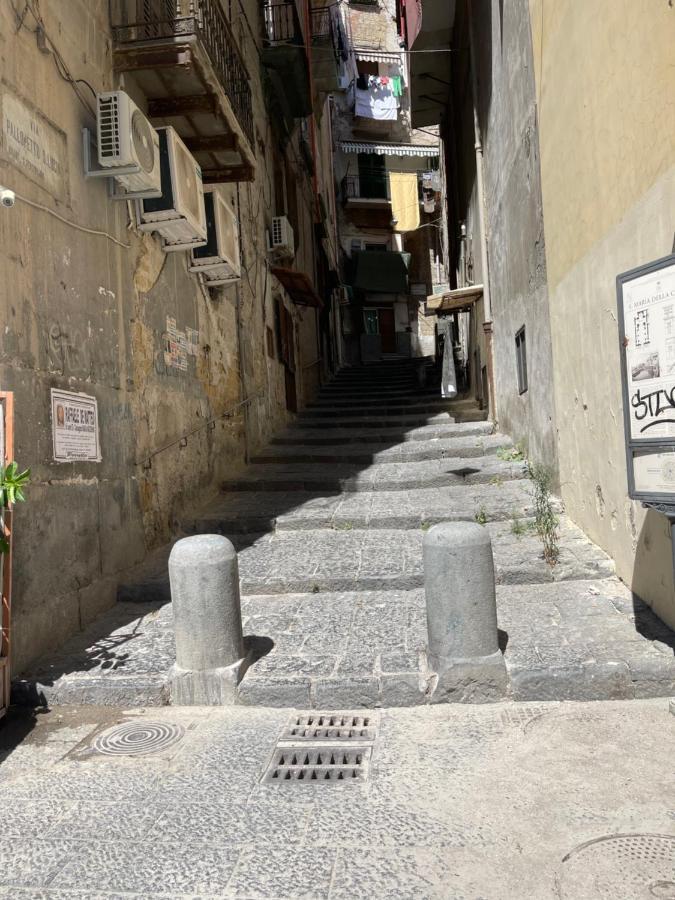 Apartment Nase E Cane Naples